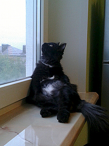 300 X 400 108.6 Kb 300 X 400 109.5 Kb      !