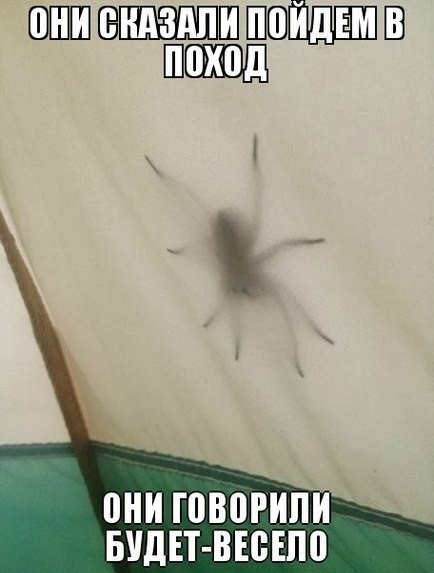 434 x 573 ОБНОВЛЕНО! 15.08.2014 ЧЕТВЕРТЫЙ ежегодный слет на Каме (Алкофест 2014)