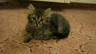 1920 X 1077 482.2 Kb 1920 X 1077 489.9 Kb     !