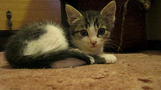 1920 X 1077 542.5 Kb 1920 X 1077 482.2 Kb 1920 X 1077 489.9 Kb     !