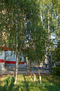 531 X 799 585.1 Kb   ?