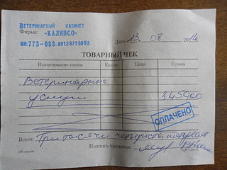 1024 X 768 550.5 Kb SOS! Вниманию неравнодушных! Помогите маленьким щенкам! Необходима фин. помощь.