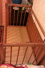 1728 X 2592 863.3 Kb 1920 X 1280 449.1 Kb   !