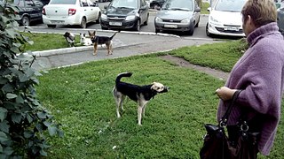 807 X 454 116.3 Kb   !