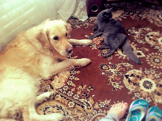 1920 X 1440 762.7 Kb    