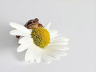 319 x 238 319 x 229 неспящие в ижевске
