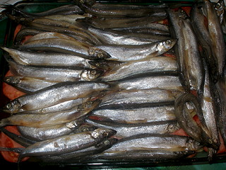 1920 X 1440 454.0 Kb Недорогие рыбы из 'магазинчиков у дома' - что, как готовим?