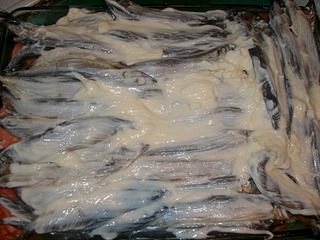 1920 X 1440 667.3 Kb 1920 X 1440 454.0 Kb Недорогие рыбы из 'магазинчиков у дома' - что, как готовим?