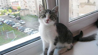 1920 X 1077 565.1 Kb 1920 X 1077 511.5 Kb 1920 X 1077 518.7 Kb 1920 X 1077 500.5 Kb     !