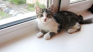 1920 X 1077 522.1 Kb     !