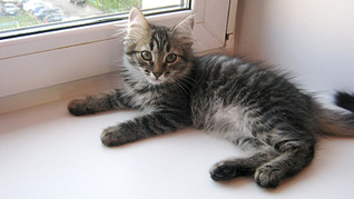 1920 X 1077 529.9 Kb 1920 X 1077 522.1 Kb     !