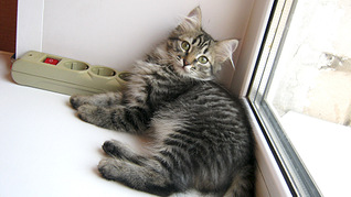 1920 X 1077 571.5 Kb 1920 X 1077 477.4 Kb 1920 X 1077 529.9 Kb 1920 X 1077 522.1 Kb     !