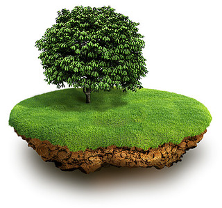 450 X 421  90.8 Kb  ..   