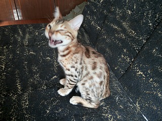 1920 X 1440 830.6 Kb 1920 X 1440 735.5 Kb  