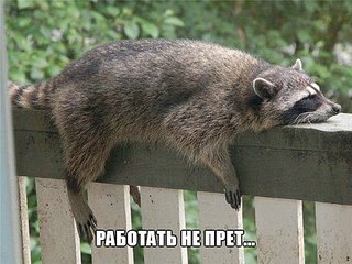 540 X 405  47.7 Kb неспящие в ижевске