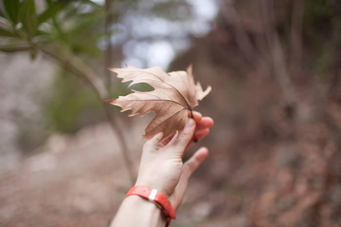 700 x 467   Canon 35mm 1, 4 L (28 ..)