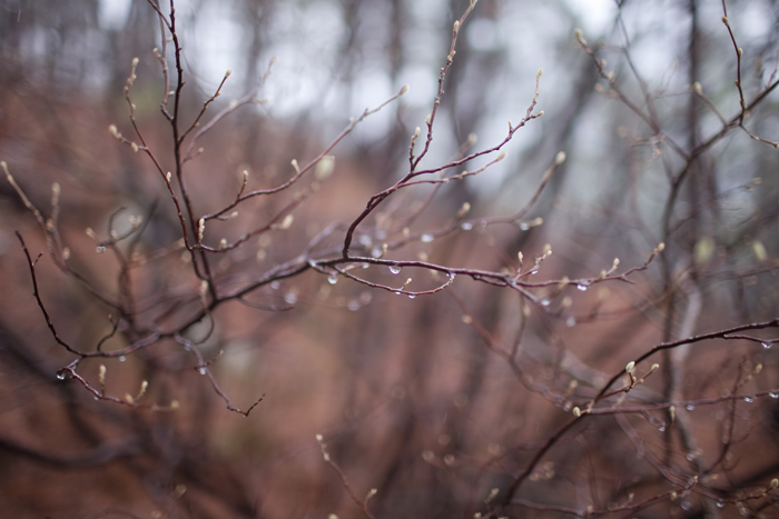 700 x 467 700 x 467   Canon 35mm 1, 4 L (28 ..)