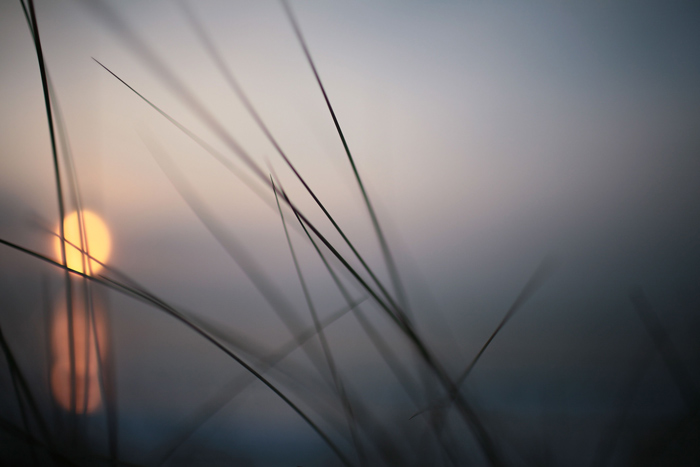 700 x 467 700 x 467 700 x 467   Canon 35mm 1, 4 L (28 ..)