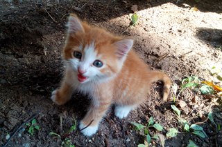 320 x 213 320 x 213  !