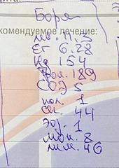 798 X 1126 258.7 Kb Боря, сбитая собака, Авангардная, скорее всего не будет видеть