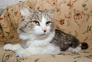 1280 X 856 193.0 Kb 1280 X 941 180.8 Kb 1257 X 1024 315.7 Kb 1280 X 895 219.8 Kb    !