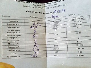 852 X 640 163.0 Kb Жесть... Собаку НЕ сбил поезд... У собаки НЕ РАК! АЗИК ЗДОРОВ! тема открыта