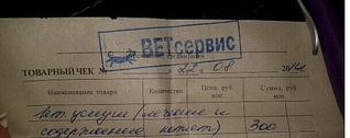 609 X 241 49.5 Kb Кошки в стационаре Ветсервиса. Нужна материальная помощь!