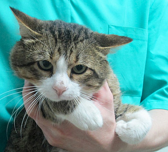 1920 X 1740 560.5 Kb ������ ��� � ������ ����.