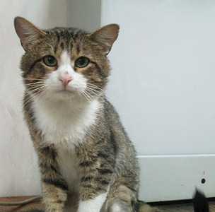 1920 X 1890 451.2 Kb ������ ��� � ������ ����.