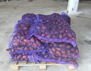 1000 X 781 379.9 Kb   ,  10 !