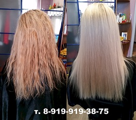 1920 X 1697 783.9 Kb  .  