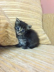 960 X 1280 363.8 Kb     ! !