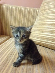 960 X 1280 342.7 Kb 960 X 1280 363.1 Kb 960 X 1280 363.8 Kb     ! !