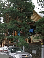 240 X 318 71.3 Kb  .  .