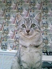 768 X 1024 185.2 Kb 768 X 1024 154.7 Kb 768 X 1024 141.1 Kb   ""   !