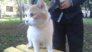 1920 X 1080 502.1 Kb     