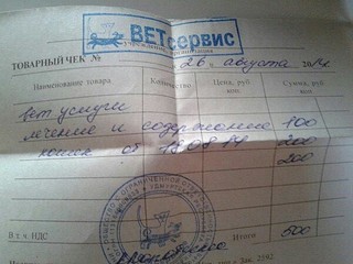 600 X 450 77.8 Kb Кошки в стационаре Ветсервиса. Нужна материальная помощь!