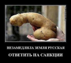 502 X 447  39.9 Kb WOOMEN 