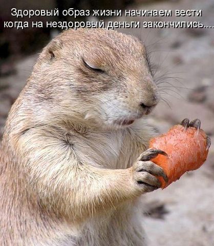 418 x 480 Улыбнемся?