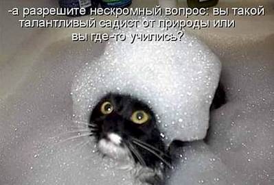 519 X 351 24.3 Kb Улыбнемся?