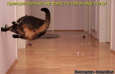 600 X 386 28.3 Kb 604 X 363 38.2 Kb 519 X 351 24.3 Kb Улыбнемся?