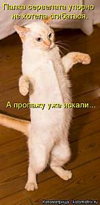 341 X 697 27.6 Kb 476 X 601 28.3 Kb Улыбнемся?