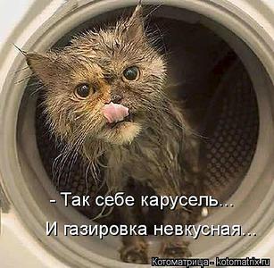 472 X 461 38.4 Kb 341 X 697 27.6 Kb 476 X 601 28.3 Kb Улыбнемся?