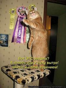 392 X 524 29.7 Kb 558 X 382 20.0 Kb Улыбнемся?