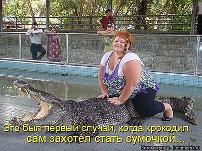 557 X 418 57.6 Kb 336 X 449 24.9 Kb Улыбнемся?