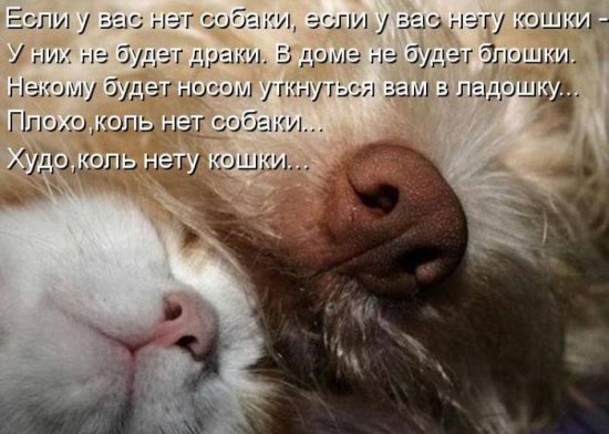 550 x 392 Улыбнемся?