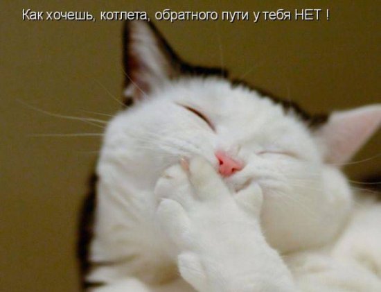 550 x 421 550 x 392 Улыбнемся?