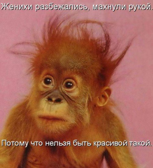 502 x 550 550 x 421 550 x 392 Улыбнемся?