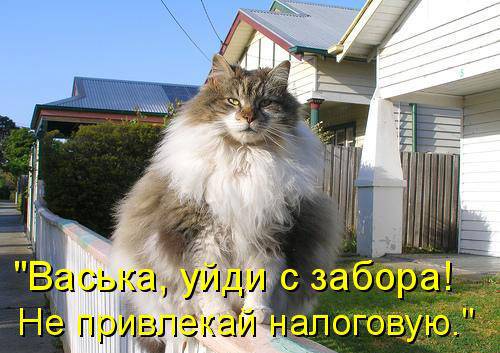 500 x 353 502 x 550 550 x 421 550 x 392 Улыбнемся?