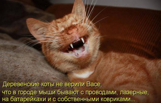 550 x 352 500 x 353 502 x 550 550 x 421 550 x 392 Улыбнемся?